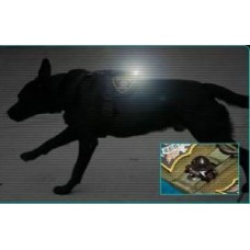 Guardian Light for K9 Operations